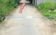 thum-8907784_Tgzv2htCNR_1664854351.jpg