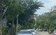 thum-8908749_hA0794MjLT_1664896868.jpg