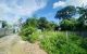 thum-8908842_NxQ9JtYcq5_1664900028.jpg