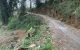 thum-8910689_wxiBrXC7Sm_1664956234.jpg