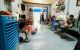 thum-8911078_MqkTn3J2wF_1664978693.jpg