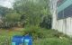 thum-m_CY8vVdIjT1_1664955215.jpg