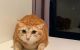 thum-m_RqF2XhKtLN_1664958600.jpg