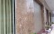 thum-8913076_iVJjd2nDYf_1665046743.jpg