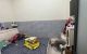 thum-8913261_LA8JygcpIm_1665056968.jpg
