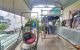thum-8913271_fy6QSBHFoN_1665059214.jpg
