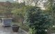thum-m_NVSILJ8lZe_1665046513.jpg