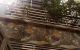 thum-m_b9uTPxB6RX_1665028531.jpg