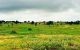 thum-m_jaAt0Kq3pV_1665045575.jpg