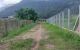 thum-8915325_5SKsC3pMQL_1665114506.jpg