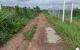 thum-8915325_YSOvNMq14e_1665114503.jpg