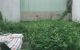 thum-8915408_Uu8TqpEyMf_1665115967.jpg