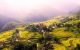 thum-8915569_Drm8tHl7A0_1665123039.jpg