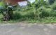 thum-8915917_r2JkcSTW3C_1665134061.jpg
