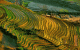 thum-m_eh2Ic7XUjC_1665123034.gif