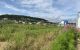 thum-8917046_6D9tuRiEl3_1665194516.jpg