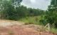 thum-8917436_0BhGKcbMT2_1665203385.jpg