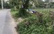 thum-8917641_Z3qQoVYzTe_1665217666.jpg