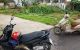thum-8917786_Hfngq6GkBQ_1665242494.jpg