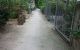 thum-m_jYDlTmyhfz_1665314937.jpg