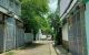 thum-8920384_OESJxto854_1665364674.jpg