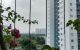 thum-8920479_yzjuPwMmWf_1665368259.jpg