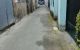 thum-8920582_tpdWmcToBH_1665370743.jpg
