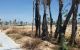 thum-8920780_6UlOdNnEz1_1665375106.jpg