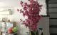 thum-8920955_chm1jZzUNd_1665381052.jpg