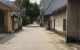 thum-8921369_KToJdBkqau_1665395662.jpg