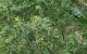 thum-8921485_acHlWEI5dy_1665412689.jpg