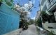 thum-8921539_iLumy1ABKI_1665417913.jpg