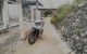 thum-m_8hQy2JLiAx_1665415307.jpg