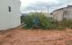 thum-m_AZga0QjkJS_1665391991.jpg