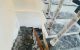 thum-m_XoZnKUA8ed_1665374635.jpg