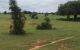 thum-m_gwEOSUuVqL_1665370502.jpg