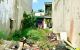 thum-8923454_TqfY8dr1cE_1665474464.jpg
