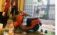 thum-m_4FHMd82wQA_1665505711.jpg