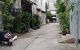thum-m_sCyEOmDb39_1665497299.jpg