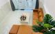 thum-8924979_C4EYue7XgK_1665539823.jpg