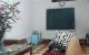 thum-8925835_CK2tBgEkhT_1665563089.jpg