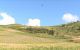 thum-8925861_IDpNZ157Ei_1665563699.png