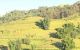 thum-8925861_rRasiPqtnO_1665563702.png