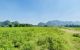 thum-8926106_8f4sC2XvGP_1665584152.jpg
