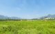 thum-8926106_LcmCSi0yon_1665584159.jpg