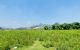 thum-8926106_umNAvxyLjf_1665584133.jpg