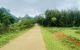 thum-8928366_U9L4pXO6H7_1665675713.jpg