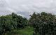 thum-8928377_iJcbjU9eMu_1665677501.jpg