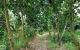 thum-m_lx0JTc9Ae8_1665677497.jpg