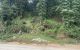 thum-m_urApOX20D8_1665655614.jpg